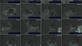 9 night spy voyeur