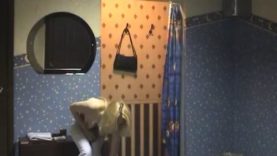 15933382560vbwt-640×480-1