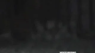 15891417772ifs4-640×480-1