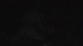 1589142552m6a3s-640×480-1