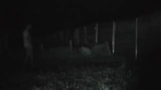 1589142666mifly-640×480-1