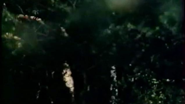 1593292713unf5n-640×480-1