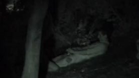 1607059429p6j4a-640×480-1