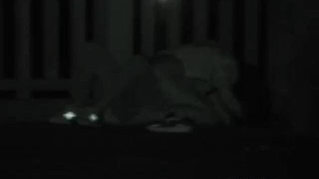 1607181102tbukb-640×480-1