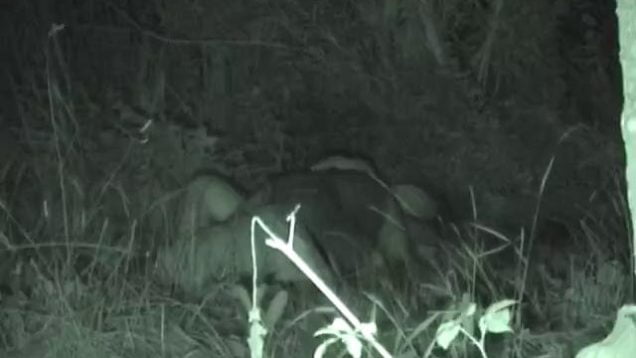 1607210249lm1s0-640×480-1