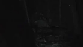 1607225342sc1sm-640×480-1