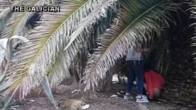 1630852068ezf98-640×480-1