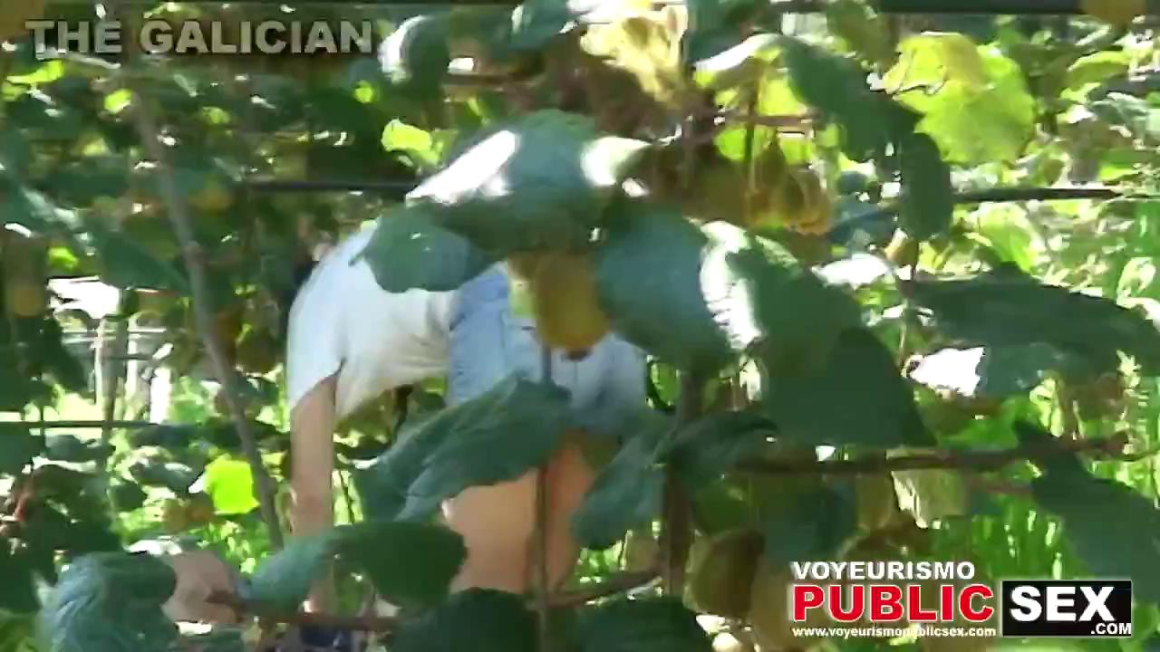Galician day porno
