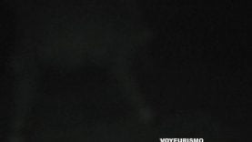 GalicianGotta16 See for yourself night watching