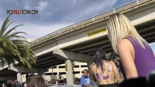 276 gsp stockings tatts