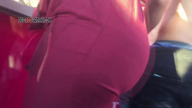 474 ezoo burgundy donk