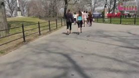 91 park yoga pants