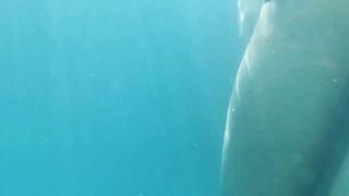 0009 grope candid real underwater voyeur bikini grab ass dick pussy thong booty couple pda