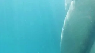 0009 grope candid real underwater voyeur bikini grab ass dick pussy thong booty couple pda