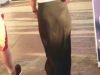 0016 see thru dress thong tanga hot public brunette candid cam voyeur