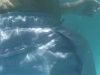 0023 underwater voyeur candid thong pool tanguita booty shake public sneaky