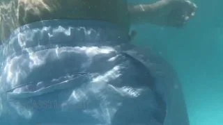 0023 underwater voyeur candid thong pool tanguita booty shake public sneaky