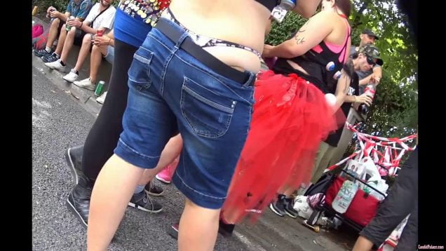 336 whaletail